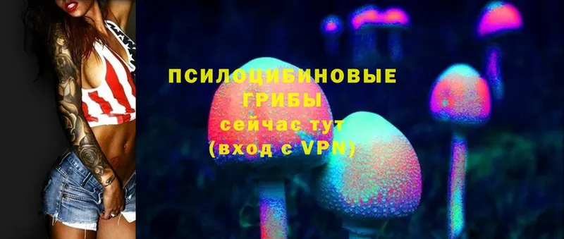 Псилоцибиновые грибы Psilocybine cubensis Аксай